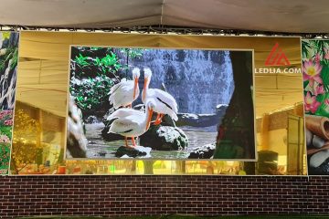 LELIA thi công màn hình LED tại Bến Tre