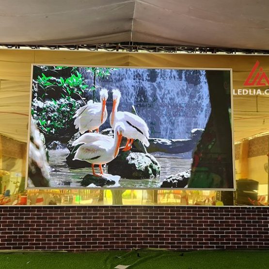 LELIA thi công màn hình LED tại Bến Tre