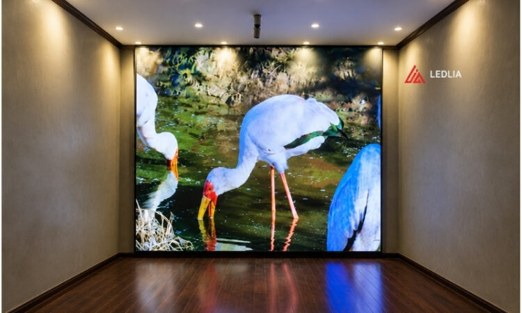 Lắp đặt màn hình LED P2,5 indoor tại Pressclub Lắp đặt màn hình LED P2,5 indoor tại Pressclub