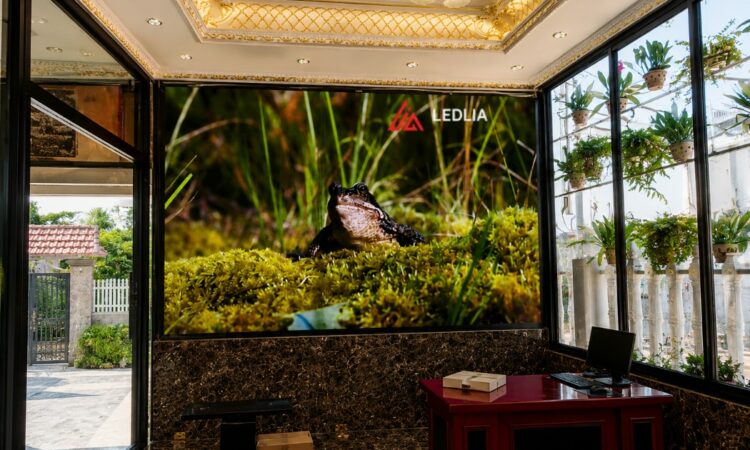 LEDLIA lắp đặt màn hình LED P2 tại Sóc Sơn